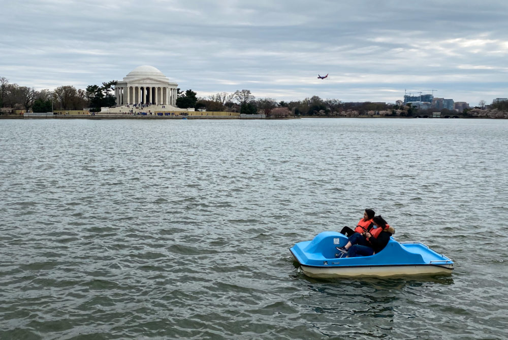 Tidal Basin Paddle Boats Washington DC